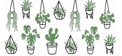 For the Love Of Plants
